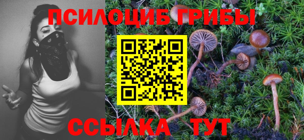 Томск  Галлюциногенные грибы ЛСД  Вход с VPN  Псилоцибиновые грибы MAGIC MUSHROOMS 