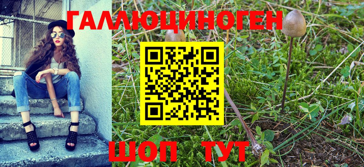 Псилоцибиновые грибы GOLDEN TEACHER Томск